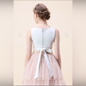 NWOT Chicwish A Fan of Bowknot Crop Top - XS